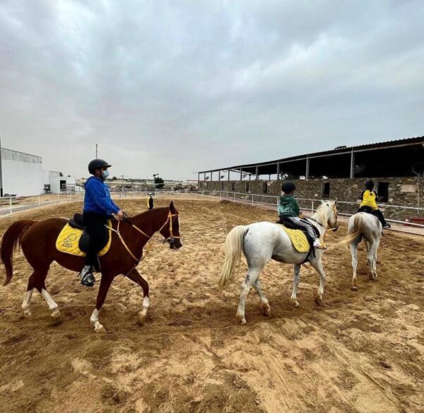 Horse training